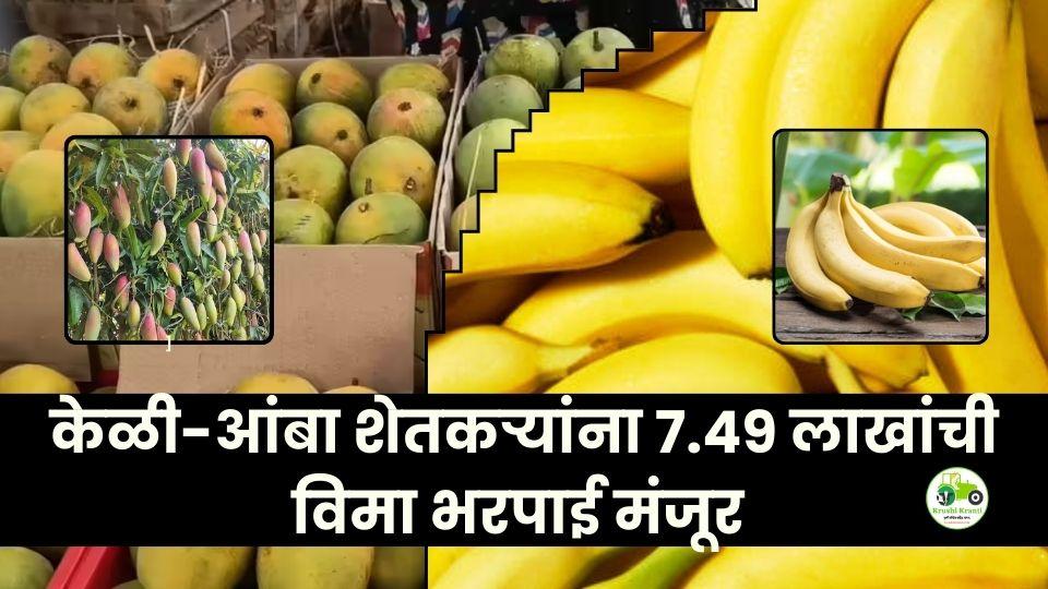 परभणीमध्ये केळी-आंबा शेतकऱ्यांना ७.४९ लाखांची विमा भरपाई मंजूर — हवामान आधारित फळपीक विमाचा लाभ