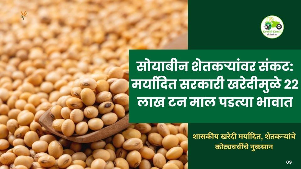 सोयाबीन शेतकऱ्यांवर संकट: मर्यादित सरकारी खरेदीमुळे २२ लाख टन माल पडत्या भावात