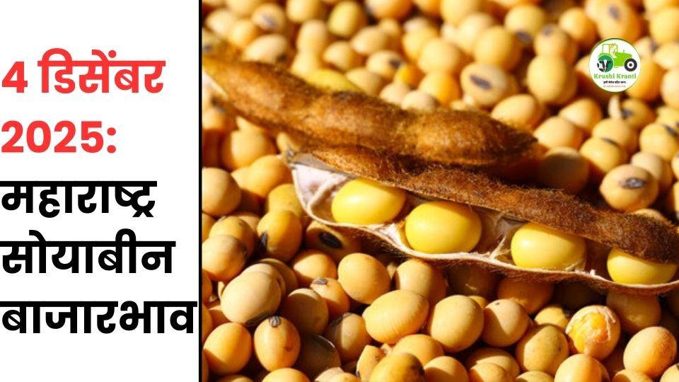 ४ डिसेंबर २०२५: महाराष्ट्र सोयाबीन बाजारभाव | आजचे ताजे दर व संपूर्ण विश्लेषण