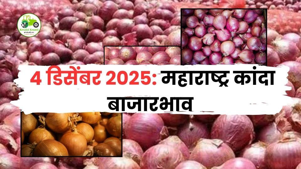 ४ डिसेंबर २०२५: महाराष्ट्र कांदा बाजारभाव – आजचे ताजे दर आणि संपूर्ण विश्लेषण