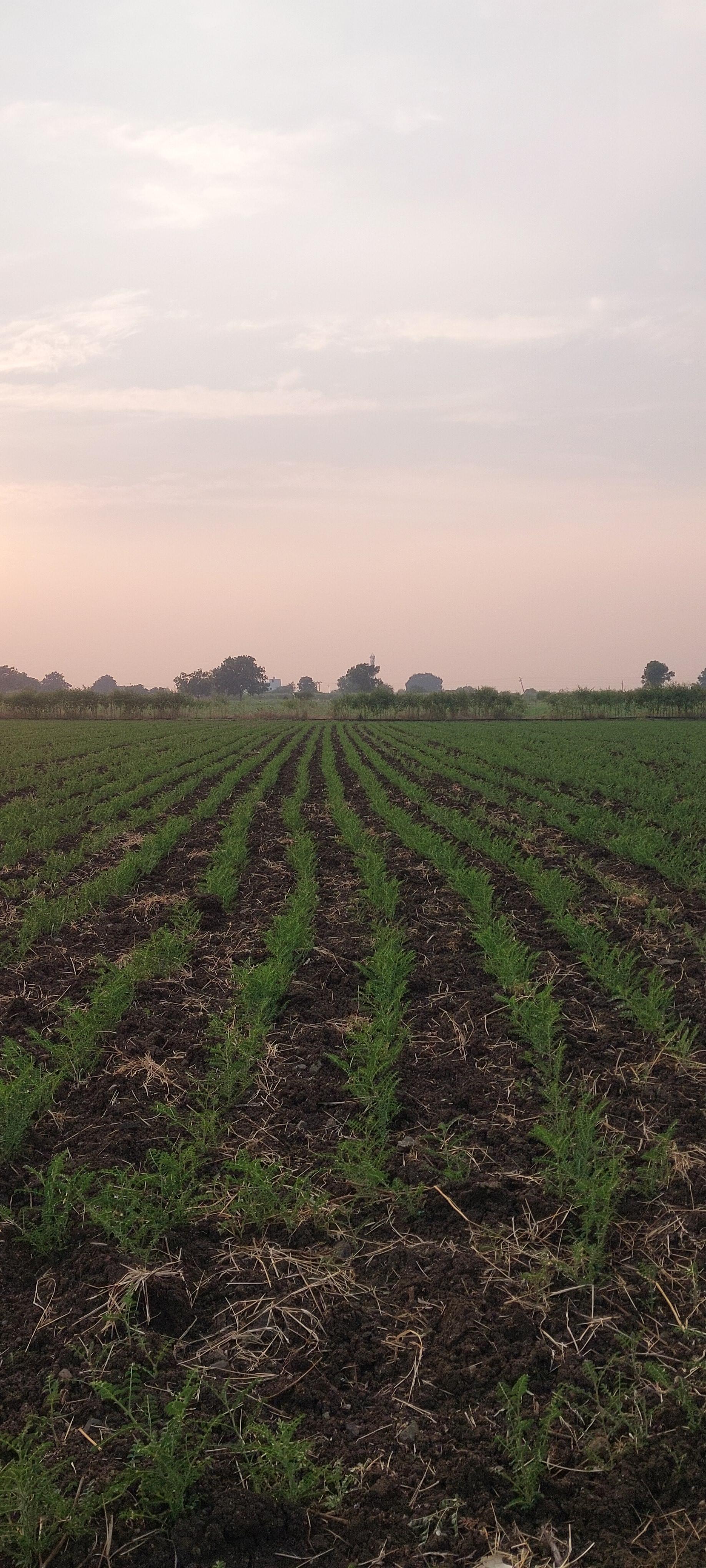 २ एकर रोड टच जमीन विक्रीसाठी उपलब्ध