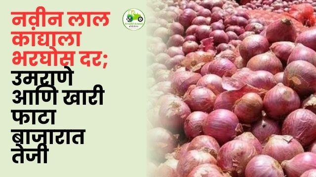 नाशिकमध्ये नवीन लाल कांद्याला भरघोस दर; उमराणे आणि खारी फाटा बाजारात जोरदार तेजी