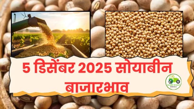 आजचे ताजे सोयाबीन दर|5 dec 2025|
