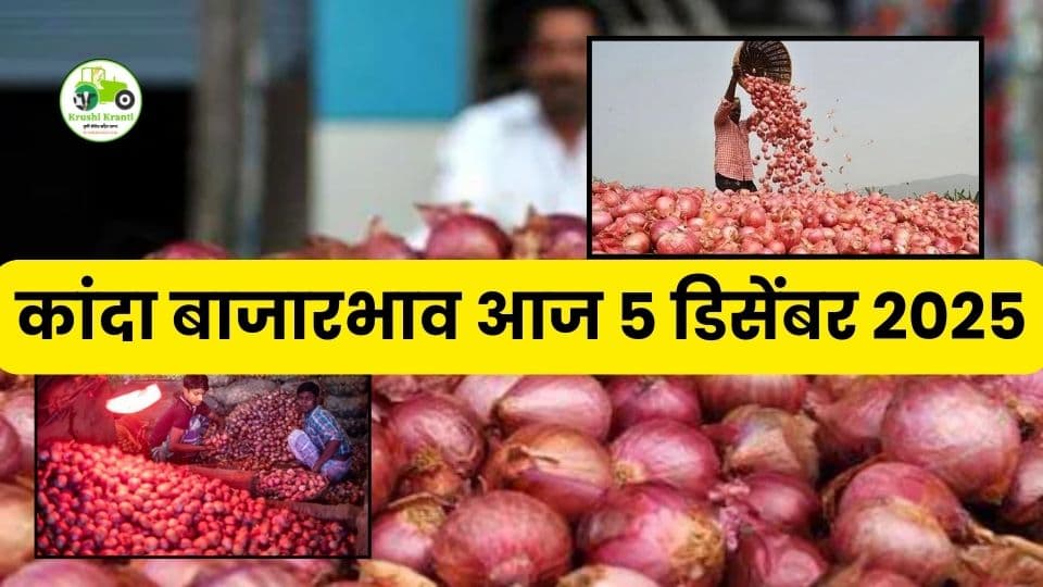 5 डिसेंबर 2025: महाराष्ट्र कांदा बाजारभाव | आजचे ताजे कांदा रेट आणि संपूर्ण विश्लेषण