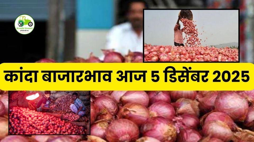 5 डिसेंबर 2025: महाराष्ट्र कांदा बाजारभाव | आजचे ताजे कांदा रेट आणि संपूर्ण विश्लेषण