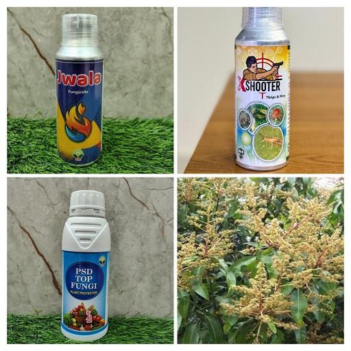 “संजीवनी ऑरगॅनिक – आंबा पिकासाठी PSD Top Fungi, Jwala & Shooter”