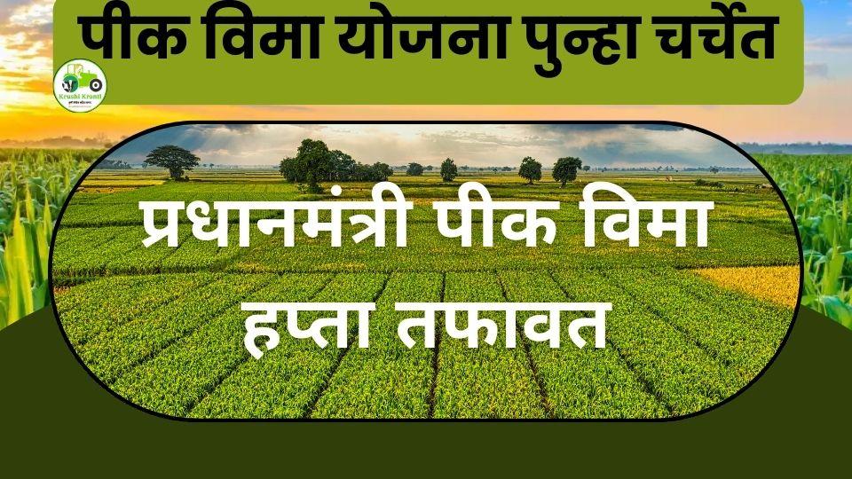 प्रधानमंत्री पीक विमा हप्ता तफावत: एकाच पिकाला वेगवेगळे हप्ते का?