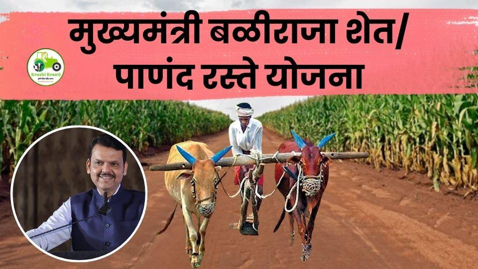 मुख्यमंत्री बळीराजा शेत/पाणंद रस्ते योजना: शेतरस्ते आता जलद गतीने तयार होणार