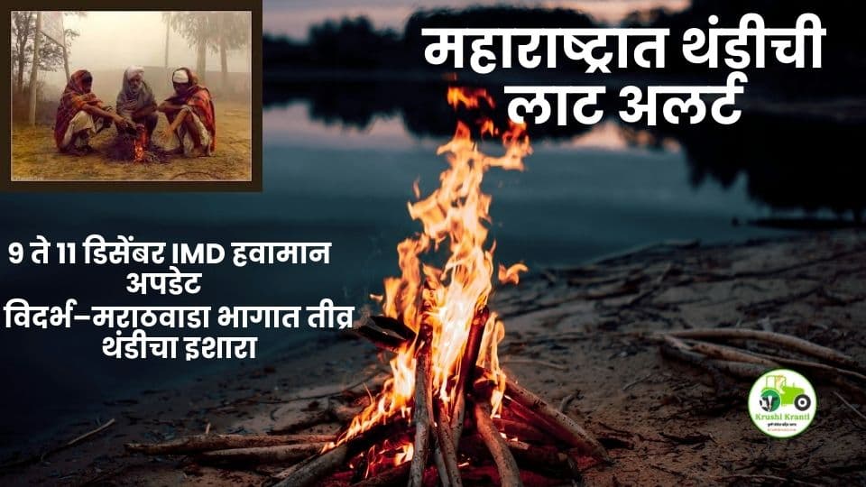 महाराष्ट्रात 9–11 डिसेंबर Cold Wave Alert | IMDचा इशारा, तापमान झपाट्याने घसरणार