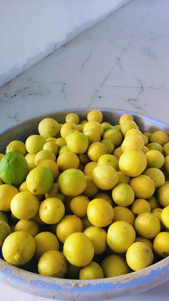 लिंबू विकणे आहे