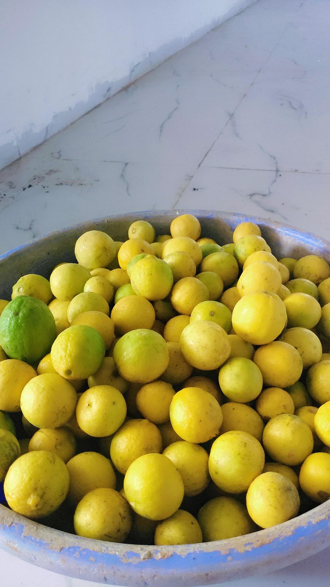 लिंबू विकणे आहे