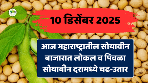 महाराष्ट्र सोयाबीन बाजारभाव आज – 10 डिसेंबर 2025 | Soyabean Bajarbhav Today