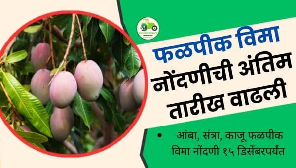 फळपीक विमा नोंदणीची अंतिम तारीख वाढली: आंबा–संत्रा–काजू शेतकऱ्यांसाठी मोठी दिलासादायक घोषणा