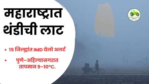 महाराष्ट्रात थंडीची लाट: 15 जिल्ह्यांसाठी IMD येलो अलर्ट | Weather Update