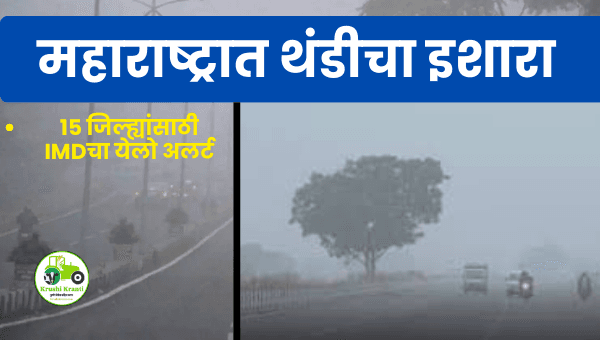 महाराष्ट्रात कोल्ड वेव्ह! 15 जिल्ह्यांसाठी IMDचा येलो अलर्ट | तापमान 5–6°C