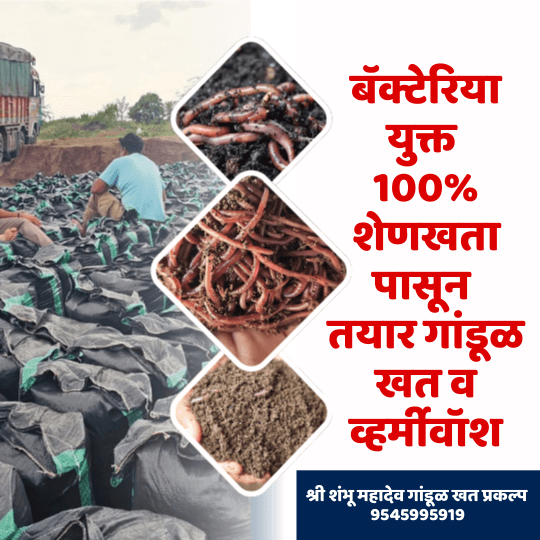 श्री शंभू महादेव गांडूळ खत प्रकल्प