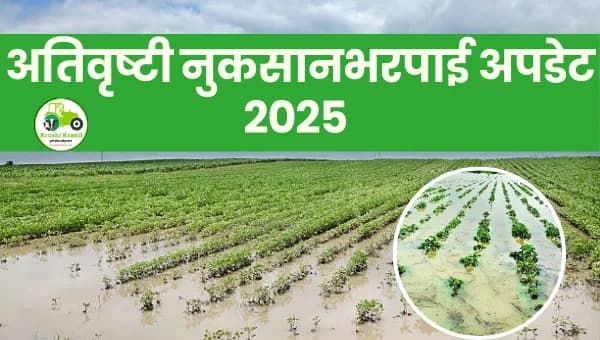 सोलापूर अतिवृष्टी नुकसानभरपाई 2025 | 57.59 कोटींची मदत, 16 लाख शेतकऱ्यांना दिलासा