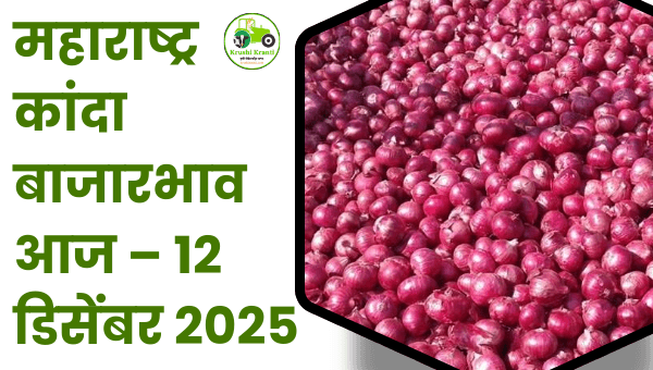 महाराष्ट्र कांदा बाजारभाव आज – 12 डिसेंबर 2025 | आजचे ताजे कांदा रेट