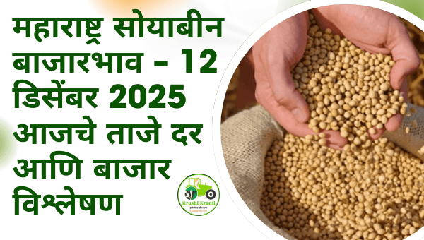 12 डिसेंबर 2025 – सोयाबीन बाजारभाव