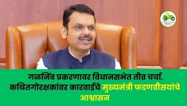 अहिल्यानगर गळनिंब प्रकरण | कथित गोरक्षकांवर कारवाईची मागणी, विधानसभेत चर्चा