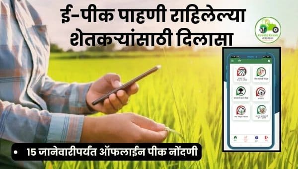 ई-पीक पाहणी राहिलेल्या शेतकऱ्यांसाठी दिलासा | १५ जानेवारीपर्यंत ऑफलाईन पीक नोंदणी