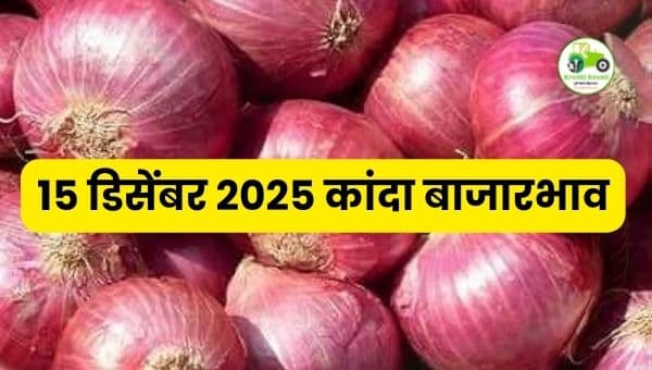 15 डिसेंबर 2025 कांदा बाजारभाव | आजचे ताजे दर व प्रमुख बाजारांचा आढावा