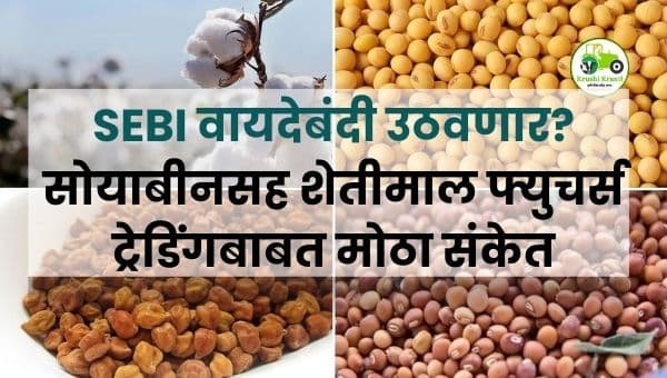 SEBI वायदेबंदी उठवणार? सोयाबीनसह शेतीमाल फ्युचर्स ट्रेडिंगबाबत मोठा संकेत