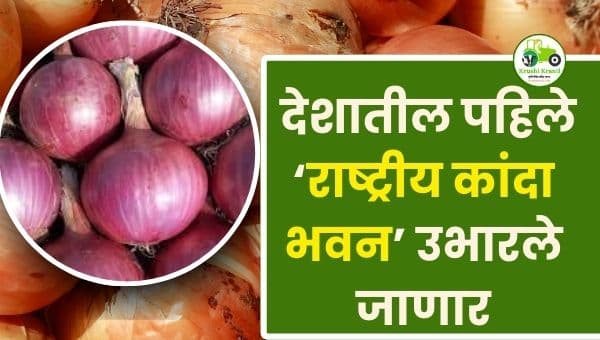 राष्ट्रीय कांदा भवन | नाशिकच्या जायगावात देशातील पहिले कांदा भवन उभारणार