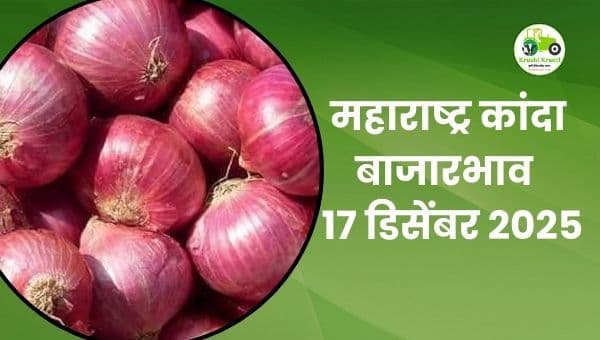 महाराष्ट्र कांदा बाजारभाव 17 डिसेंबर 2025 | आजचे ताजे कांदा दर