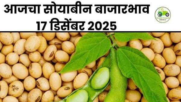 आजचा सोयाबीन बाजारभाव 17 डिसेंबर 2025 | महाराष्ट्रातील ताजे Soybean Rates