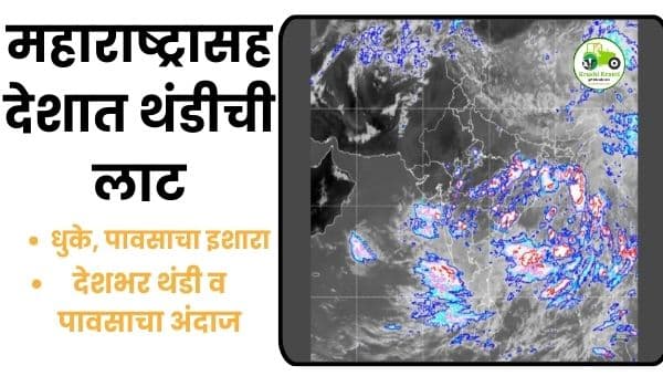 महाराष्ट्रासह देशात थंडीची लाट; धुके, पावसाचा इशारा | IMD Weather Update