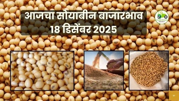 आजचा सोयाबीन बाजारभाव 18 डिसेंबर 2025 | महाराष्ट्र Soybean Rate Update