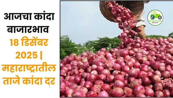 आजचा कांदा बाजारभाव | 18 डिसेंबर 2025 | महाराष्ट्र कांदा दर