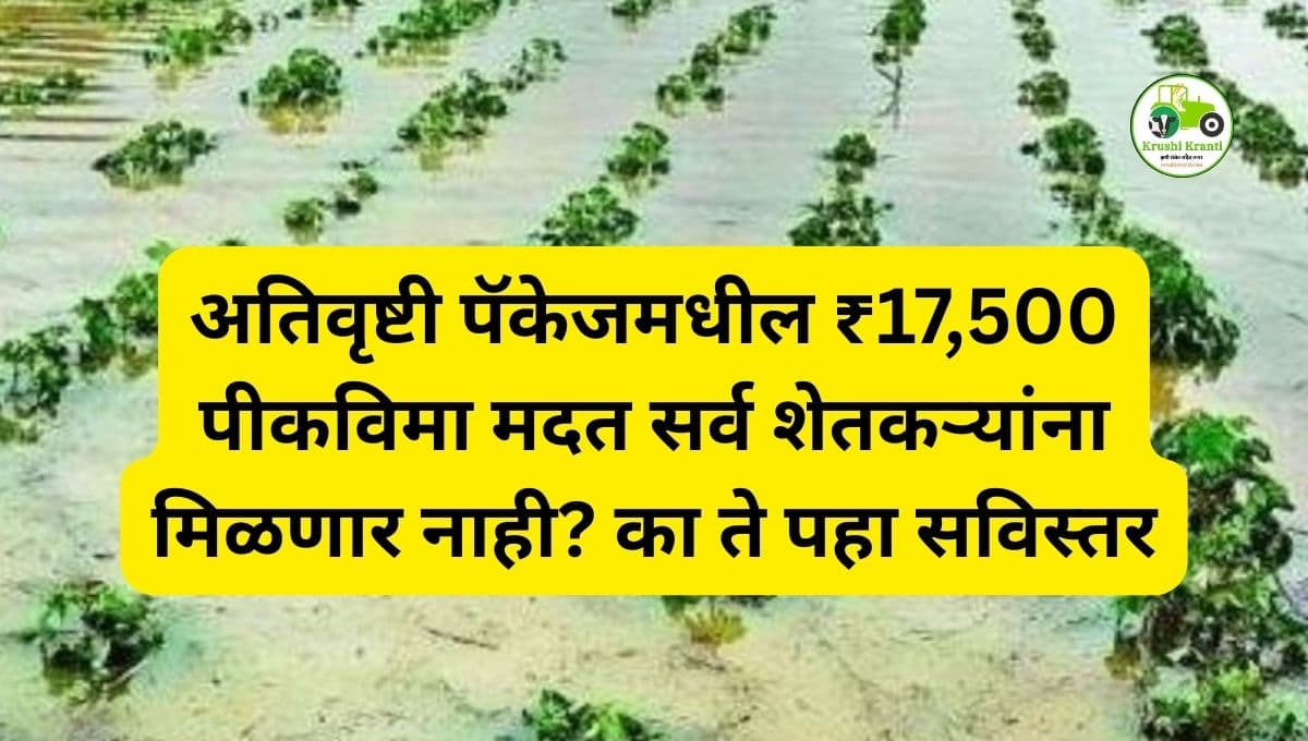 अतिवृष्टी पॅकेजमधील ₹17,500 पीकविमा मदत सर्व शेतकऱ्यांना मिळणार नाही? खरी माहिती
