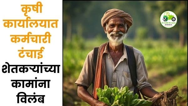 अचलपूर तालुका कृषी कार्यालयात पदे रिक्त; शेतकऱ्यांच्या कामांना मोठा विलंब