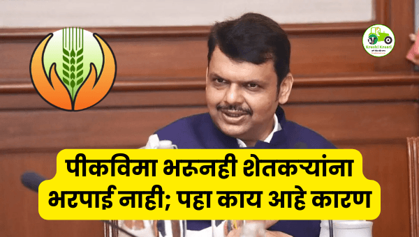 पीकविमा भरूनही शेतकऱ्यांना भरपाई नाही; निकष बदलाचा मोठा फटका