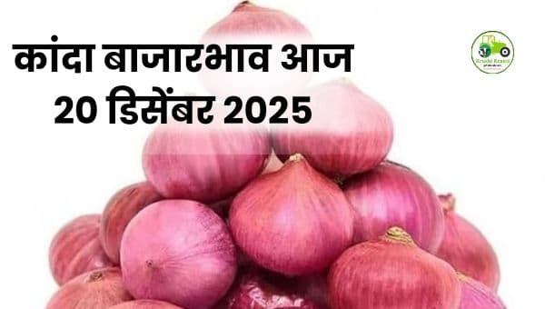 आजचा कांदा बाजारभाव | 20 डिसेंबर 2025