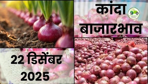आजचा कांदा बाजारभाव | 22 डिसेंबर 2025 | महाराष्ट्र कांदा दर