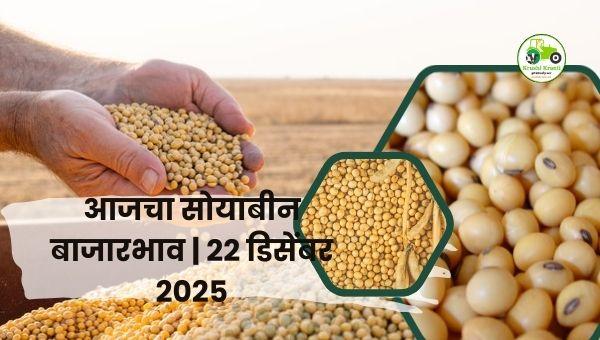 आजचा सोयाबीन बाजारभाव Maharashtra Soyabean Market Rates Today22 डिसेंबर 2025 रोजी महाराष्ट्रातील सोय.