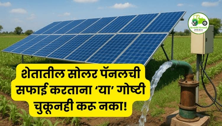 शेतातील सोलर पॅनलची सफाई करताना ‘या’ गोष्टी चुकूनही करू नका!