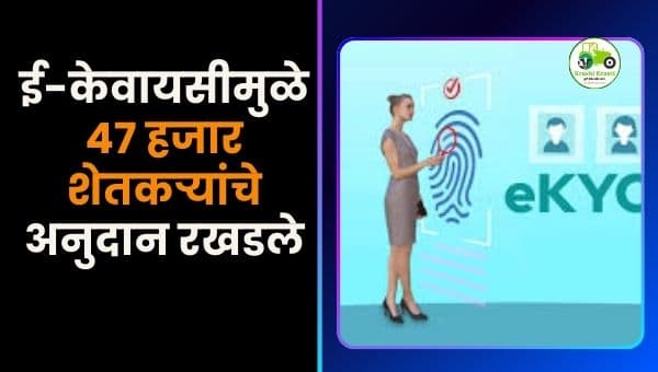 परभणी जिल्ह्यात अतिवृष्टी नुकसानभरपाई ई-केवायसीमुळे अडकली; हजारो शेतकरी अनुदानापासून वंचित