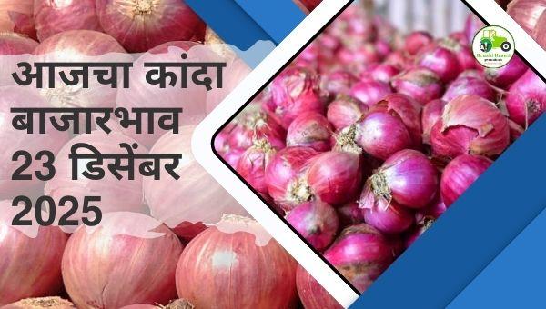 आजचा कांदा बाजारभाव | 23 डिसेंबर 2025 | महाराष्ट्र ताजा दर अपडेट