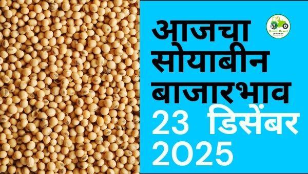 आजचा सोयाबीन बाजारभाव 23 डिसेंबर 2025 | Maharashtra Soybean Rate