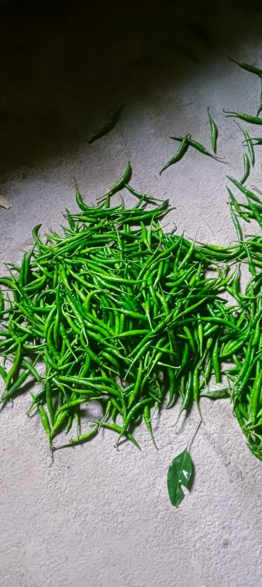 जालना जिल्ह्यात तरकारी माल खरेदी केला जाईल