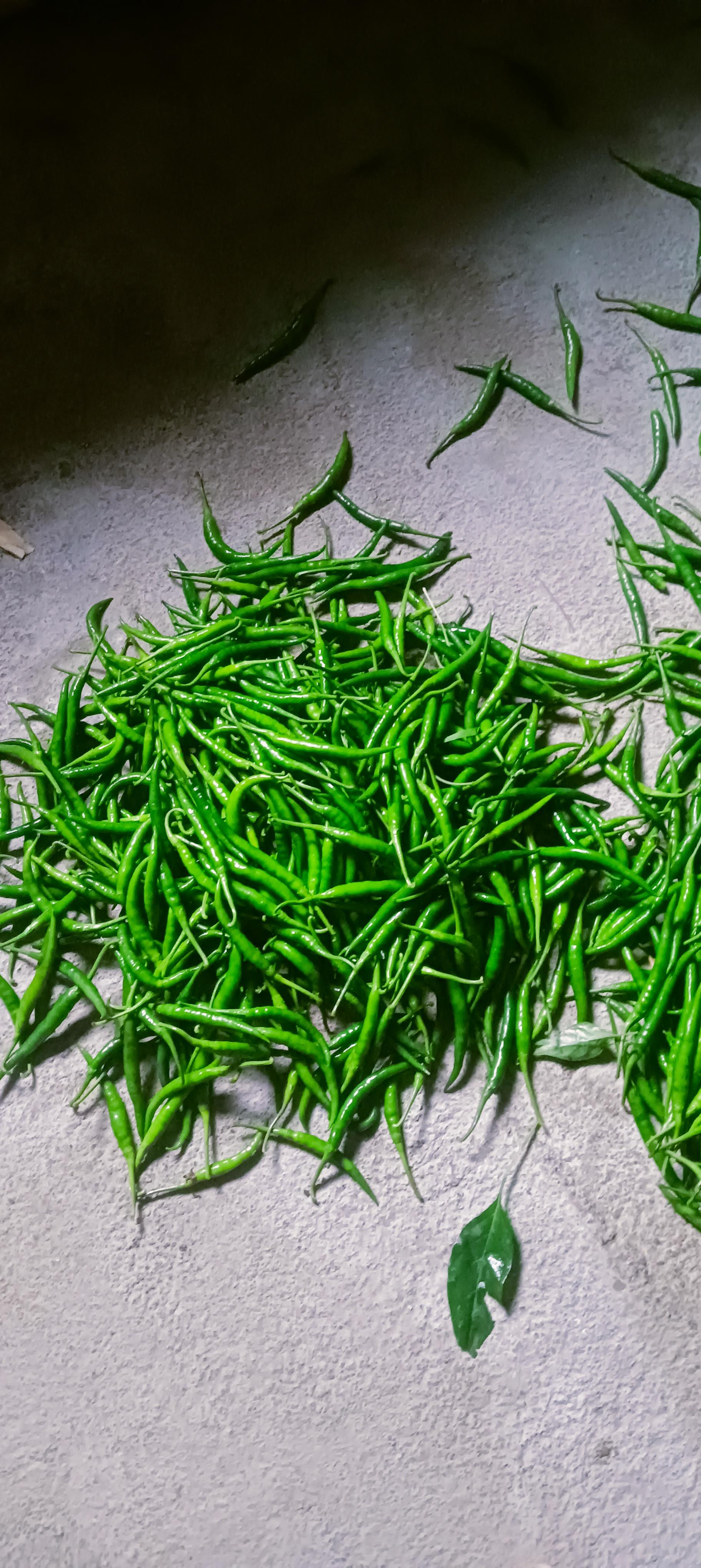 जालना जिल्ह्यात तरकारी माल खरेदी केला जाईल