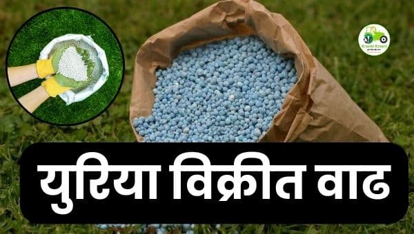 डिसेंबरमध्ये युरिया विक्रीत २०% वाढ | डीएपी विक्री घटली तरी खत साठा पुरेसा