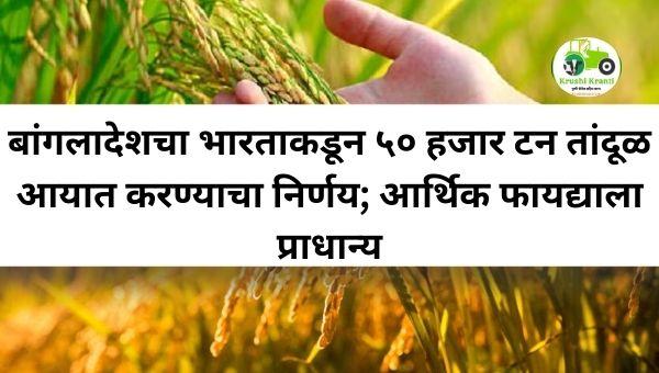 बांगलादेशचा भारताकडून ५० हजार टन तांदूळ आयात करण्याचा निर्णय; आर्थिक फायद्याला प्राधान्य