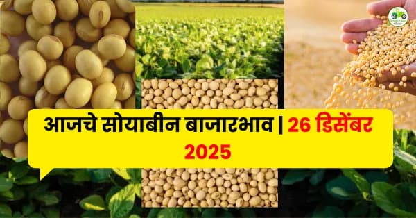 आजचे सोयाबीन बाजारभाव | 26 डिसेंबर 2025 | Maharashtra Soybean Rates
