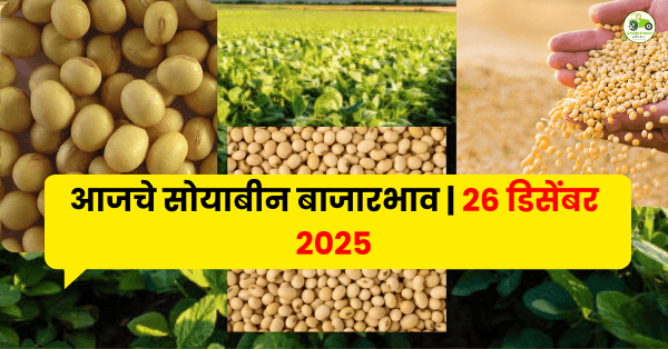 आजचे सोयाबीन बाजारभाव | 26 डिसेंबर 2025 | Maharashtra Soybean Rates