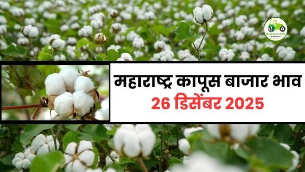 महाराष्ट्र कापूस बाजारभाव | 26 डिसेंबर 2025 | Cotton Rates Today